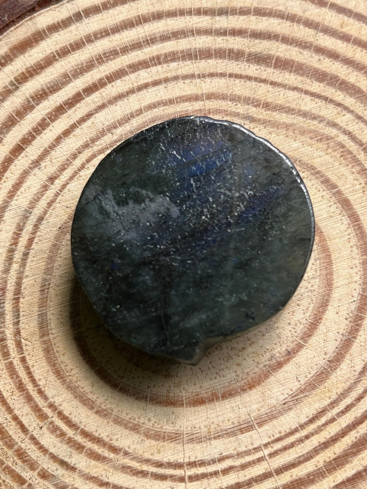 Labradorite Wolf Palm Stone – Blue Flash, Transformation & Spirit Totem
