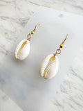 Natural Cowrie Shell Earrings